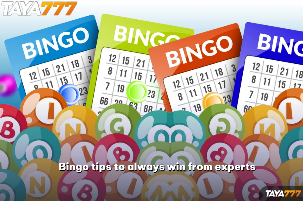 Bingo tips to always win from experts