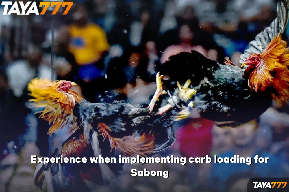 Experience when implementing carb loading for Sabong