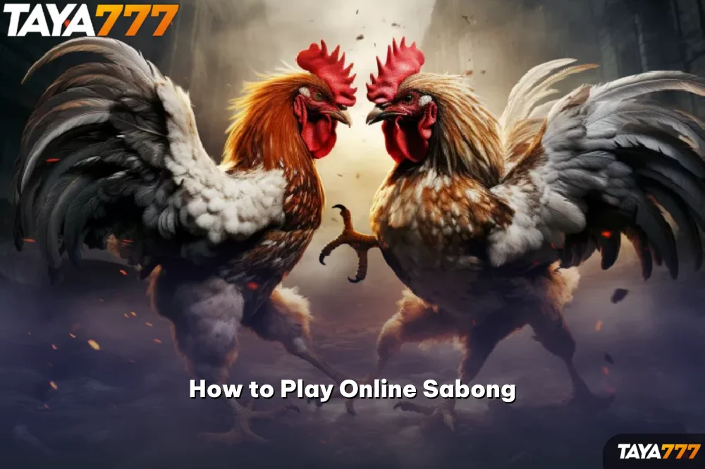 How to Play Online Sabong