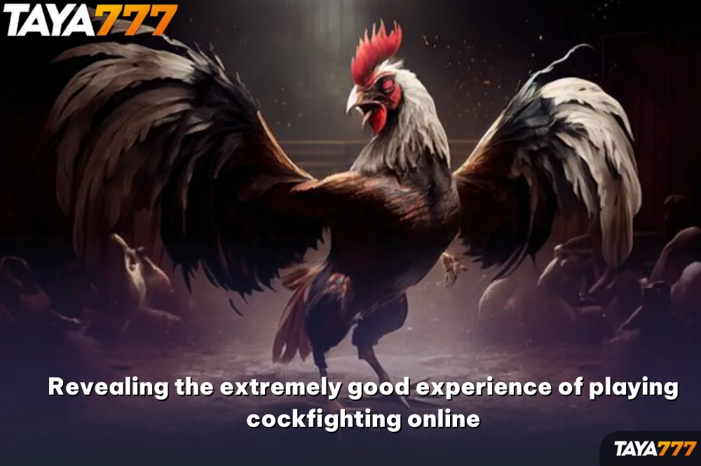 Revealing the extremely good experience of playing cockfighting online