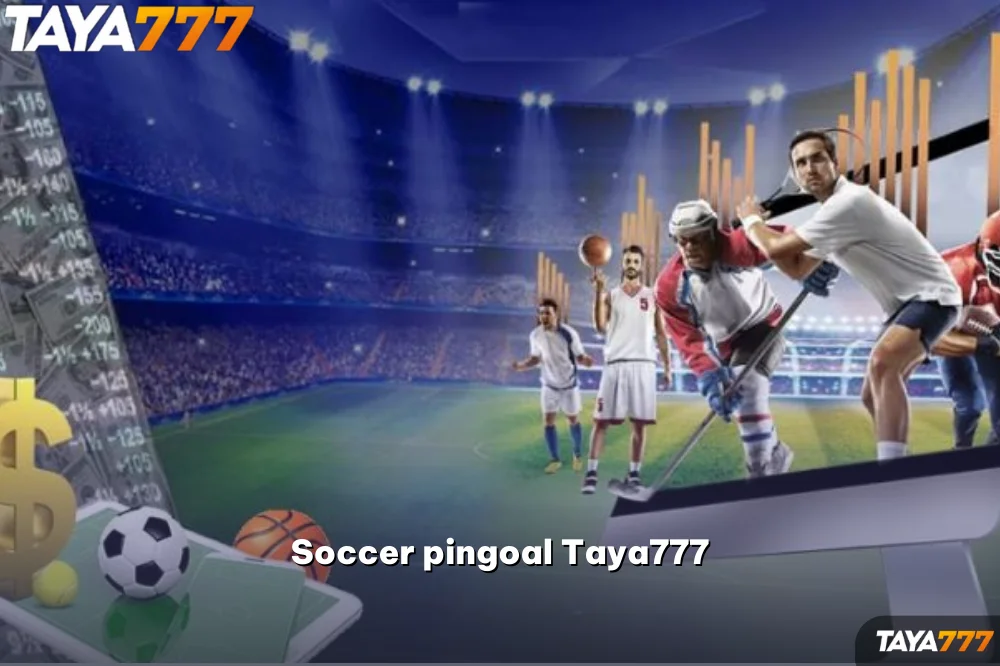 Soccer pingoal Taya777