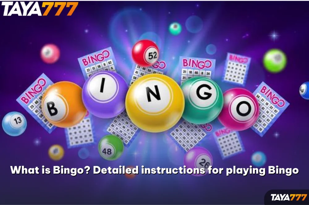 What is Bingo? Detailed instructions for playing Bingo