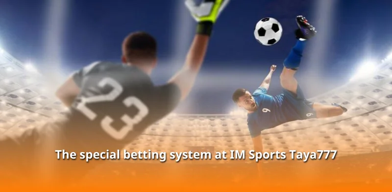 The special betting system at IM Sports Taya777