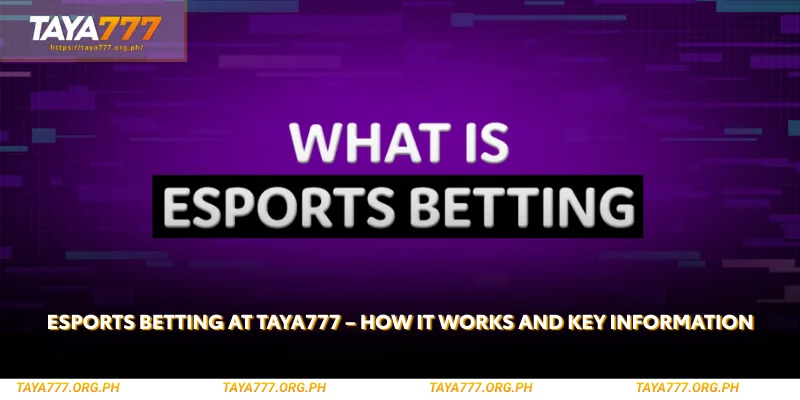 esports betting at taya777