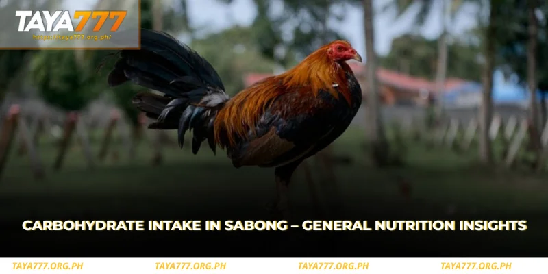 carbohydrate intake in sabong