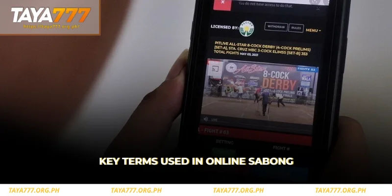 learn the key terms commonly used in online sabong